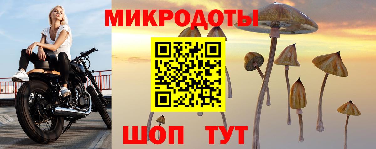 Галлюциногенные грибы Magic Shrooms Белово