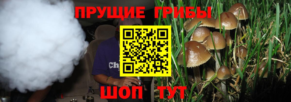 Белово  Псилоцибиновые грибы мицелий  Вход с VPN 